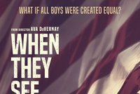 Katalog seriálů (Netflix): Když nás vidí (When They See Us)