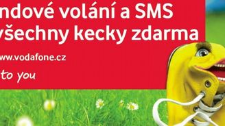 Televize bez reklamy - a bez ředitele