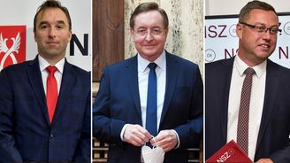 Kecy & politika: Arenberger, Zeman, Hnilička – tři muži na odchodu