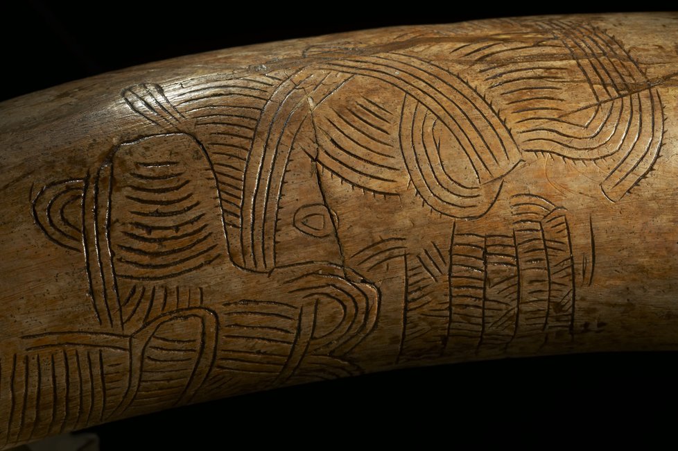 Detailní pohled na kel z Pavlova.  Podle odborníků jsou rytiny prehistorickou mapou.