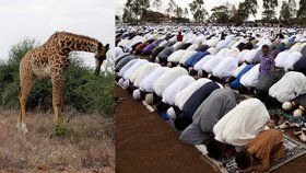 V Keni oslavili konec ramadánu, mezi turisty je tu oblíbené safari. Teď i v turistické oblasti vraždili islamisté.