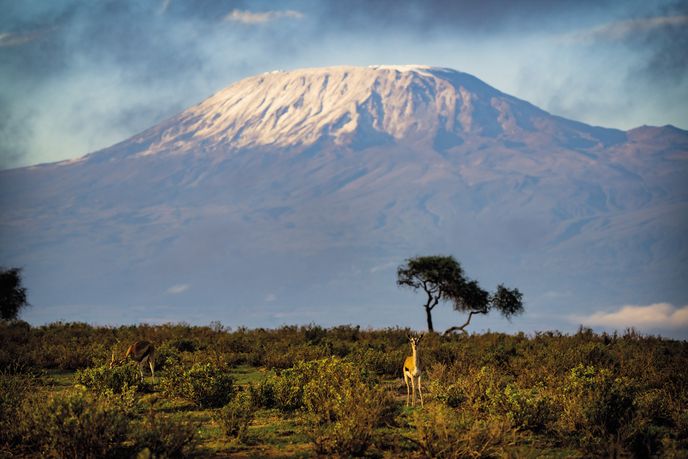 Kili před nosem. Dokonalá rovina parku Amboseli ostře kontrastuje s nejvyšší horou Afriky v sousední Tanzanii.