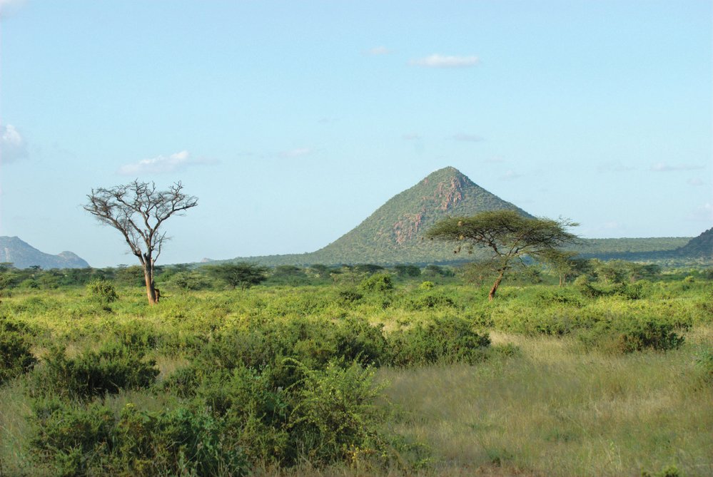 Pahorek Koitogor v rezervaci Samburu je výrazným orientačním bodem.