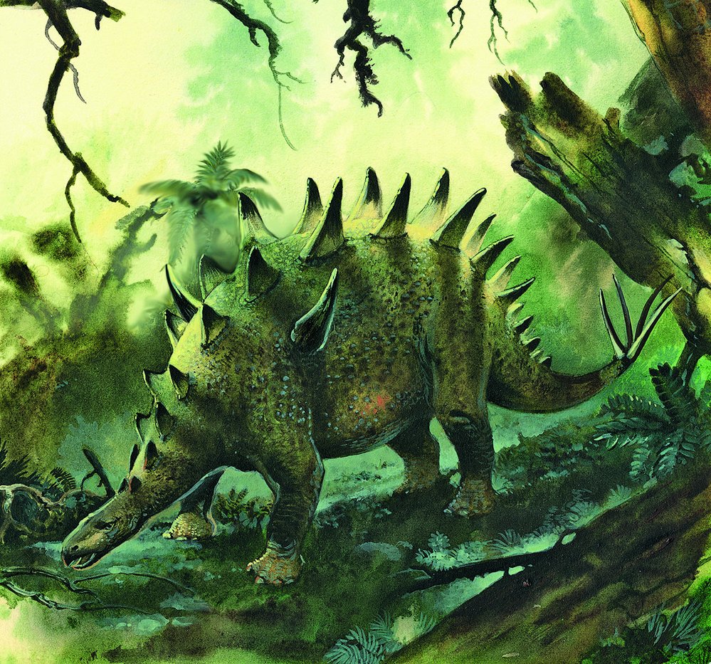 Stegosauridi jsou oblíbenými dinosaury i u široké veřejnosti