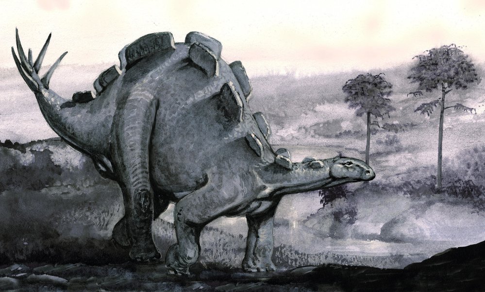 Fosilie stegosauridů se objevují už od poloviny 19. století na mnoha místech světa