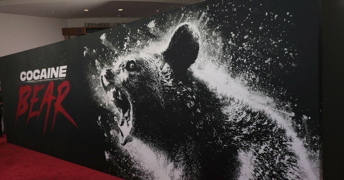 Estados Unidos: Oso muere tras ingerir 40 kg de cocaína