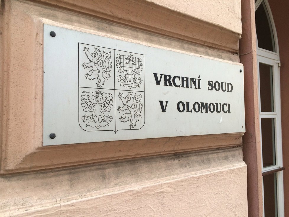 Vrchní soud v Olomouci dnes Dahlgrenovo odvolání zamítl. Platí tak doživotní trest vězení, který vynesl soud v Brně.