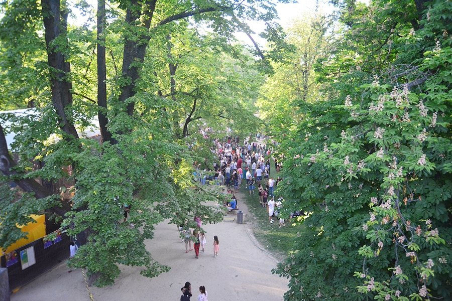 Khamoro festival přilákal stovky lidí.