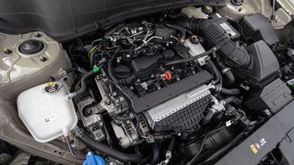 Kia Seltos 1.6 T-GDI Kia Seltos 1.6 T-GDI