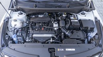 Kia Sportage Kia Sportage