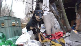 Kiki žila mezi bezdomovci na hromadě odpadků.