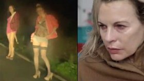 Do německých kin jde film o prostituci v českém pohraničí. V hlavní roli se ukáže oscarová herečka Kim Basinger.