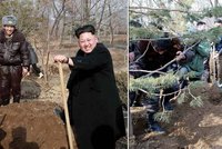 Diktátor Kim Čong-un: Zasadit strom, postavit dům, zotročit zemi, rozpoutat třetí světovou válku...