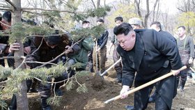 Kim Čong-un se chopil lopaty a kopal. Alespoň chvilku.