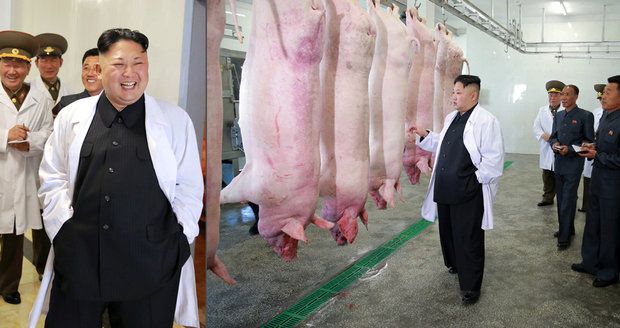 Vysmátý čuník ve vepříně: Veselý Kim Čong-un navštívil farmu, jeho lidé hladoví