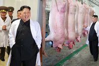 Vysmátý čuník ve vepříně: Veselý Kim Čong-un navštívil farmu, jeho lidé hladoví