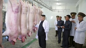Kim Čong-un při kontrole vepřína, který dodává maso severokorejské armádě.