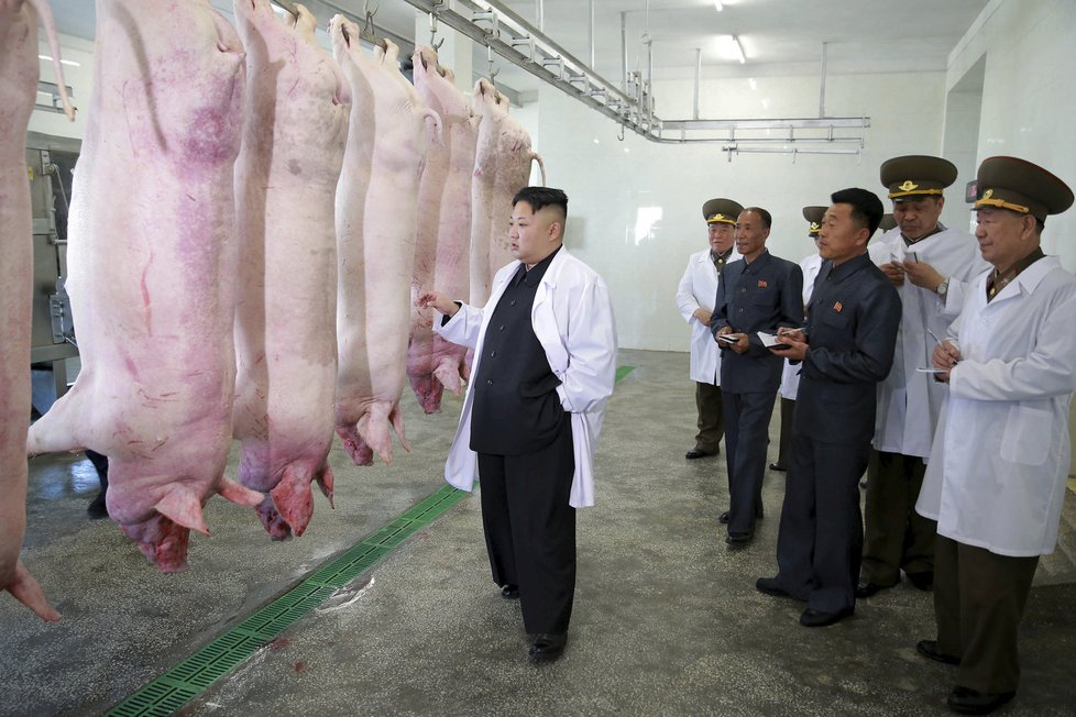 Kim Čong-un při kontrole vepřína, který dodává maso severokorejské armádě.