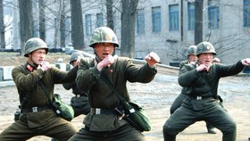Oficiální severokorejská agentura KCNA zveřejnila snímky, podle kterých ani severokorejská armáda nelení