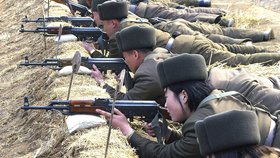 Oficiální severokorejská agentura KCNA zveřejnila snímky, podle kterých ani severokorejská armáda nelení