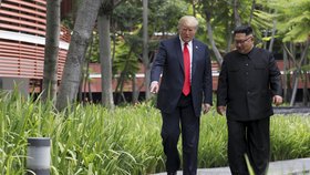 Donald Trump a Kim Čong-un se sešli v Singapuru na historickém summitu (12. 6. 2018).