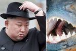 Nelítostný severokorejský diktátor Kim Čong-un: Inspirován bondovkou prý svého generála předhodil piraním!
