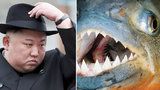 Jako z bondovky: Kim Čong-un prý předhodil svého generála piraním