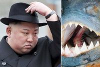 Jako z bondovky: Kim Čong-un prý předhodil svého generála piraním