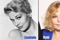 Herečka s českými kořeny šokovala na Oscarech: Ze zbotoxované Kim Novak by byla hvězda hororů i dnes