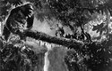 1933 vtrhl do kin King Kong, legendární monster movie, které posunulo možnosti filmových triků