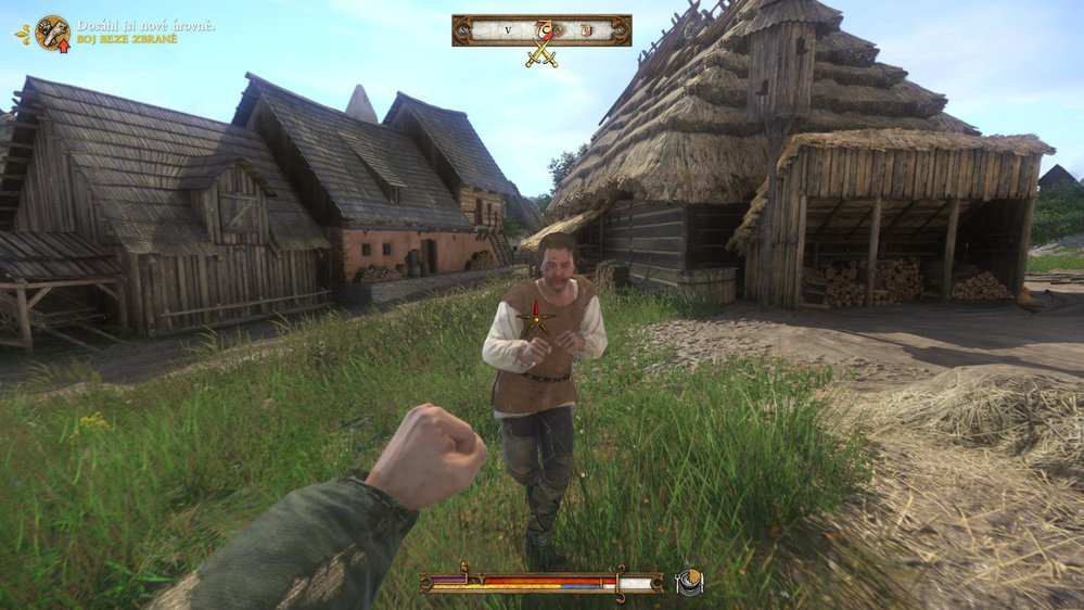 Kingdom Come: Deliverance