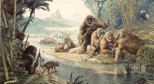Proč vyhynul "King Kong": Naši předkové se s ním potkali!