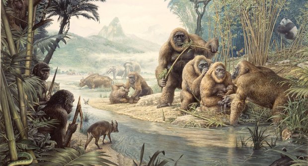 Proč vyhynul "King Kong": Naši předkové se s ním potkali!
