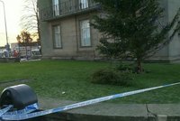 Smrt pod vánočním stromem: Muž vylezl až na špičku chlouby města a spadl