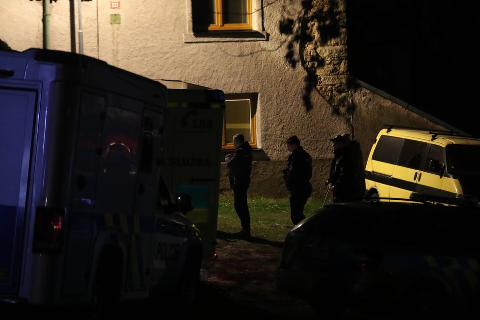 Při zásahu kvůli potyčce v Doksech na Kladensku policie postřelila muže. Podle policie nereagoval na výzvy ani na použití taseru.