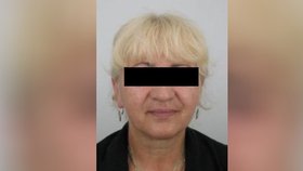 Na Kladensku se ztratila seniorka (68): Našli ji u Svinařova, skončila v péči lékařů