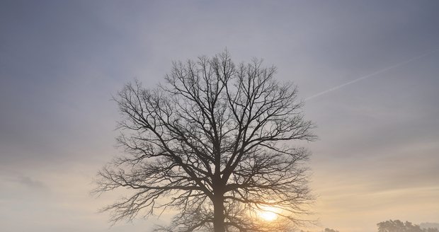 České Švýcarsko nabízí i za mlhavého počasí nádherné scenerie.