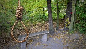 Sebevražda v parku na Žižkově: Muž (†87) se oběsil na stromě
