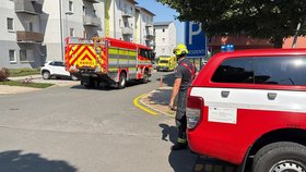 Polici na místo přivolala sousedka, cítila spálený pach.