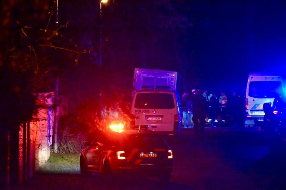 Pražští kriminalisté vyjížděli do Klánovic. Žena volala na linku 158 a oznámila, že slyšela střelbu. Na místě policisté našli dvě mrtvé osoby.