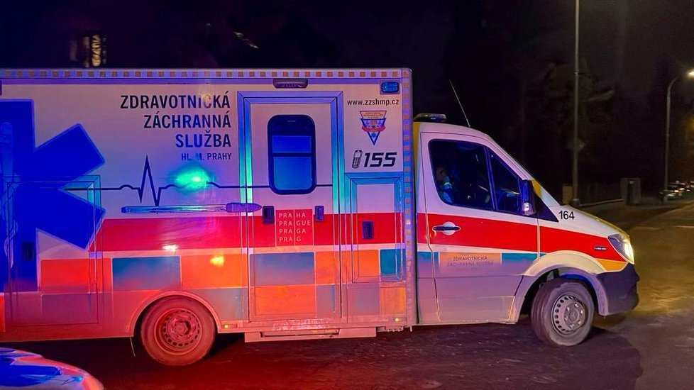Pražští kriminalisté vyjížděli do Klánovic. Žena volala na linku 158 a oznámila, že slyšela střelbu. Na místě policisté našli dvě mrtvé osoby.