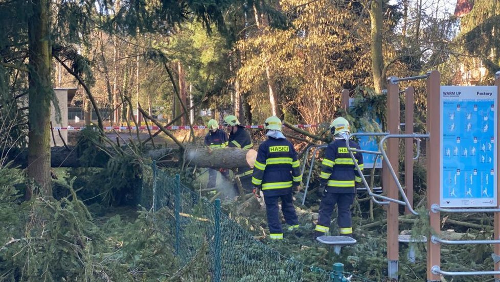 Na dětském hřišti v Klánovicích se vlivem silného větru zřítil strom.