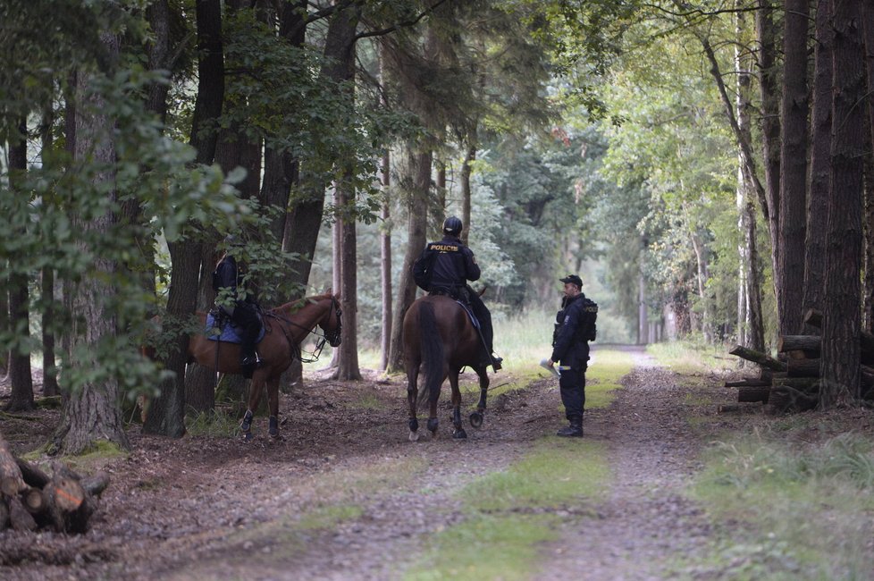 Policie prohledává klánovický les (2014).