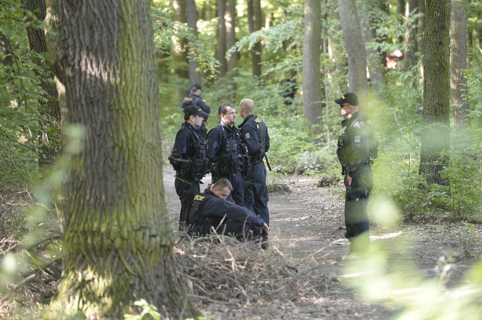 Policisté prohledávají Klánovický les.