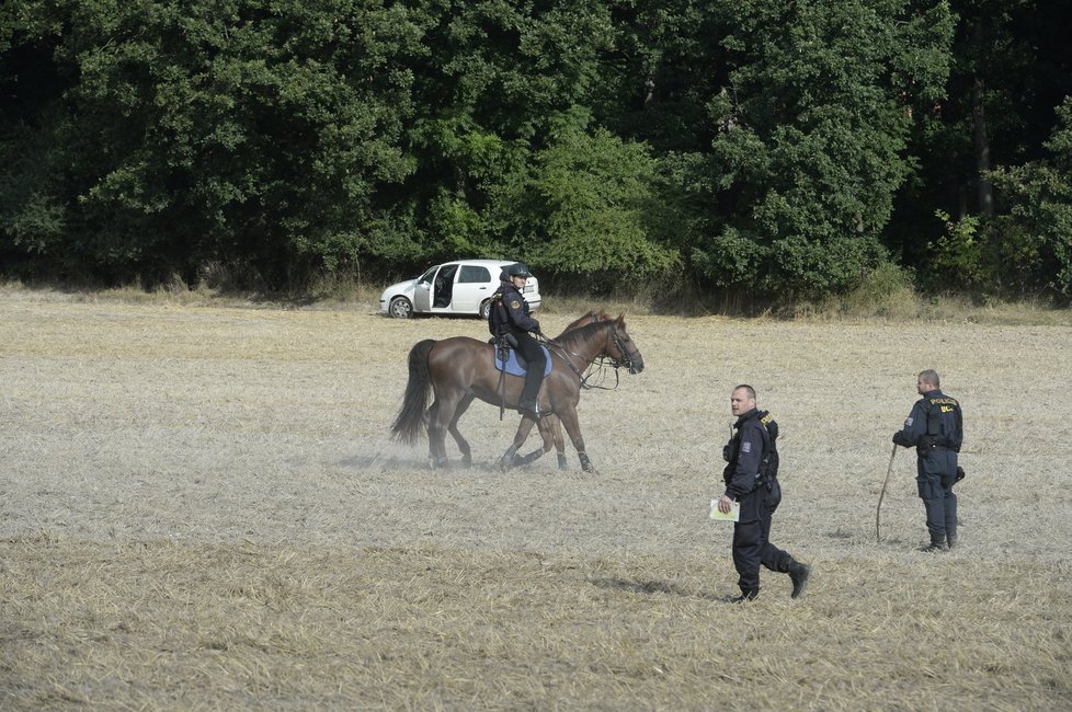 Policie prohledává klánovický les (2014).