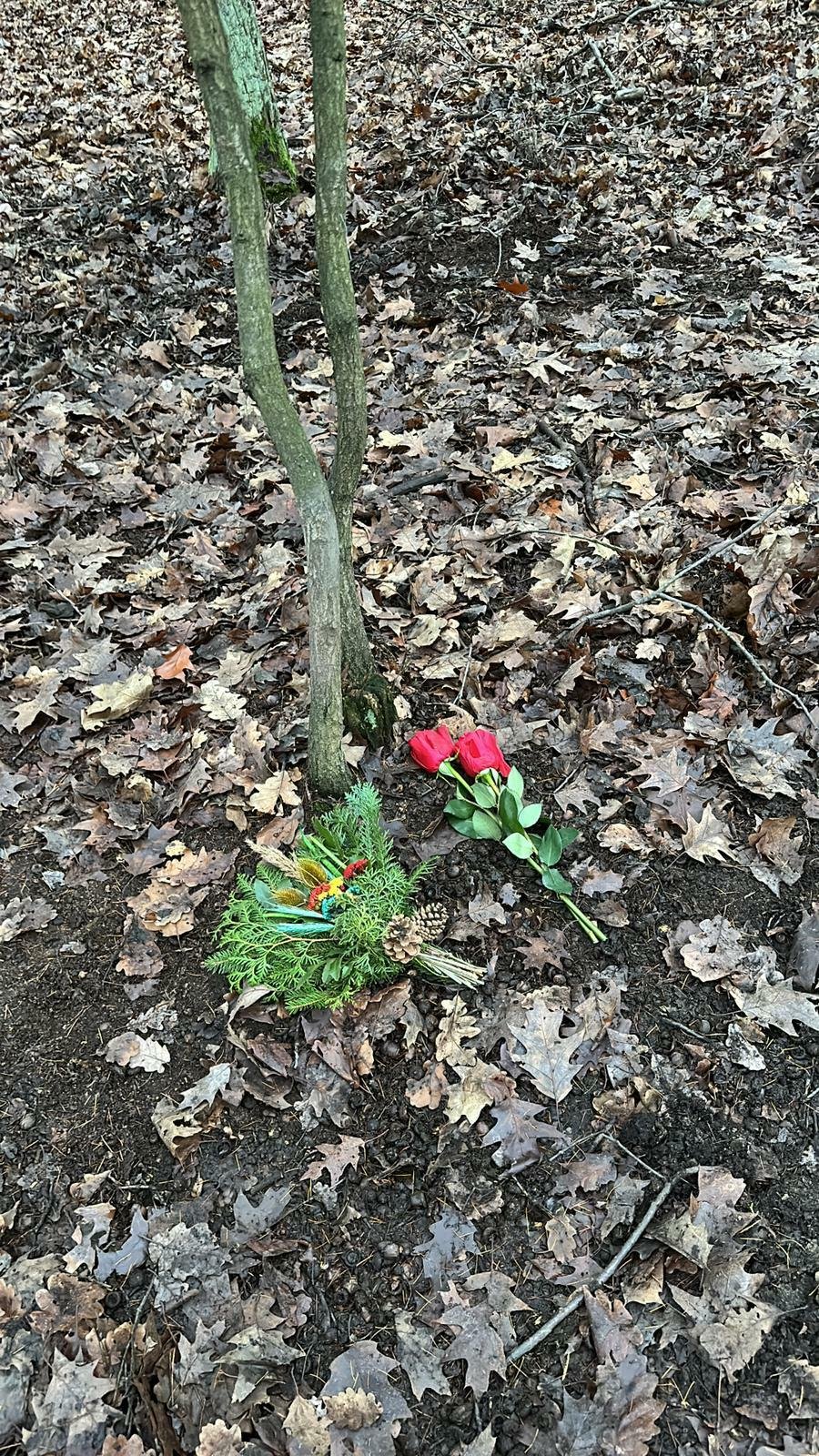 U Klánovického lesa je objevily první květiny.