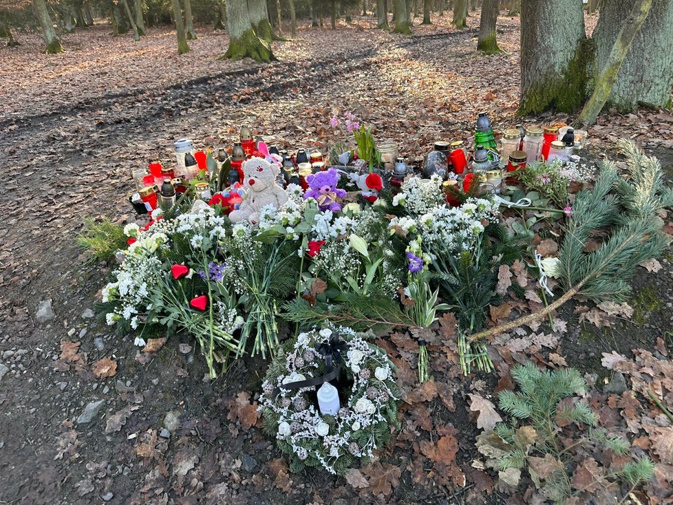 Na místo odporné vraždy, při níž umřel mladý tatínek se svou dvouměsíční dcerou v Klánovickém lese, nosí lidé květiny, svíčky a jiné drobnosti. (27. prosinec 2023)