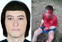 Běžce v Klánovickém lese brutálně zmlátil klackem neznámý muž: Na místě nechal košík lysohlávek?!