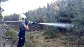 Požár v Klánovickém lese: Porost někdo zapálil, hasiči na uhasení použili čtyři cisterny vody