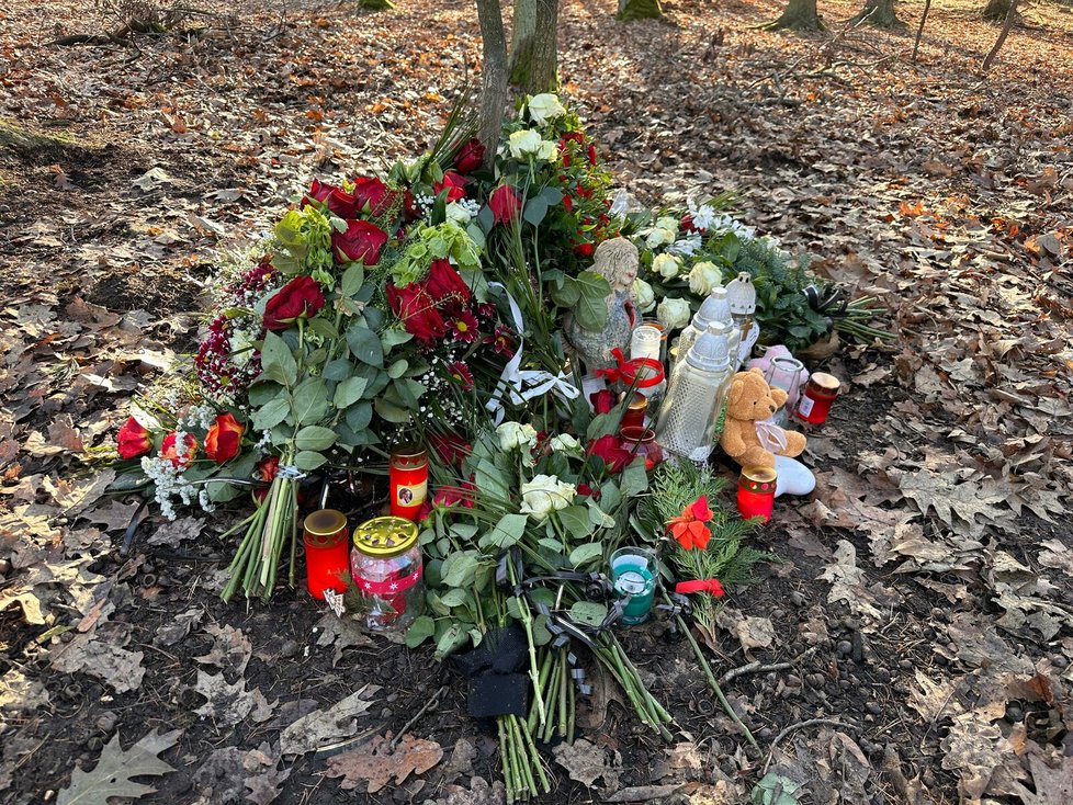 Na pietním místě v Klánovickém lese začaly výrazně přibývat květiny poté, co policie oznámila, že vraždu tatínka s dcerou má na svědomí stejný pachatel.